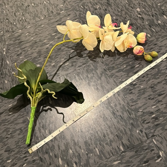 Faux Orchid - Picture 2 of 6